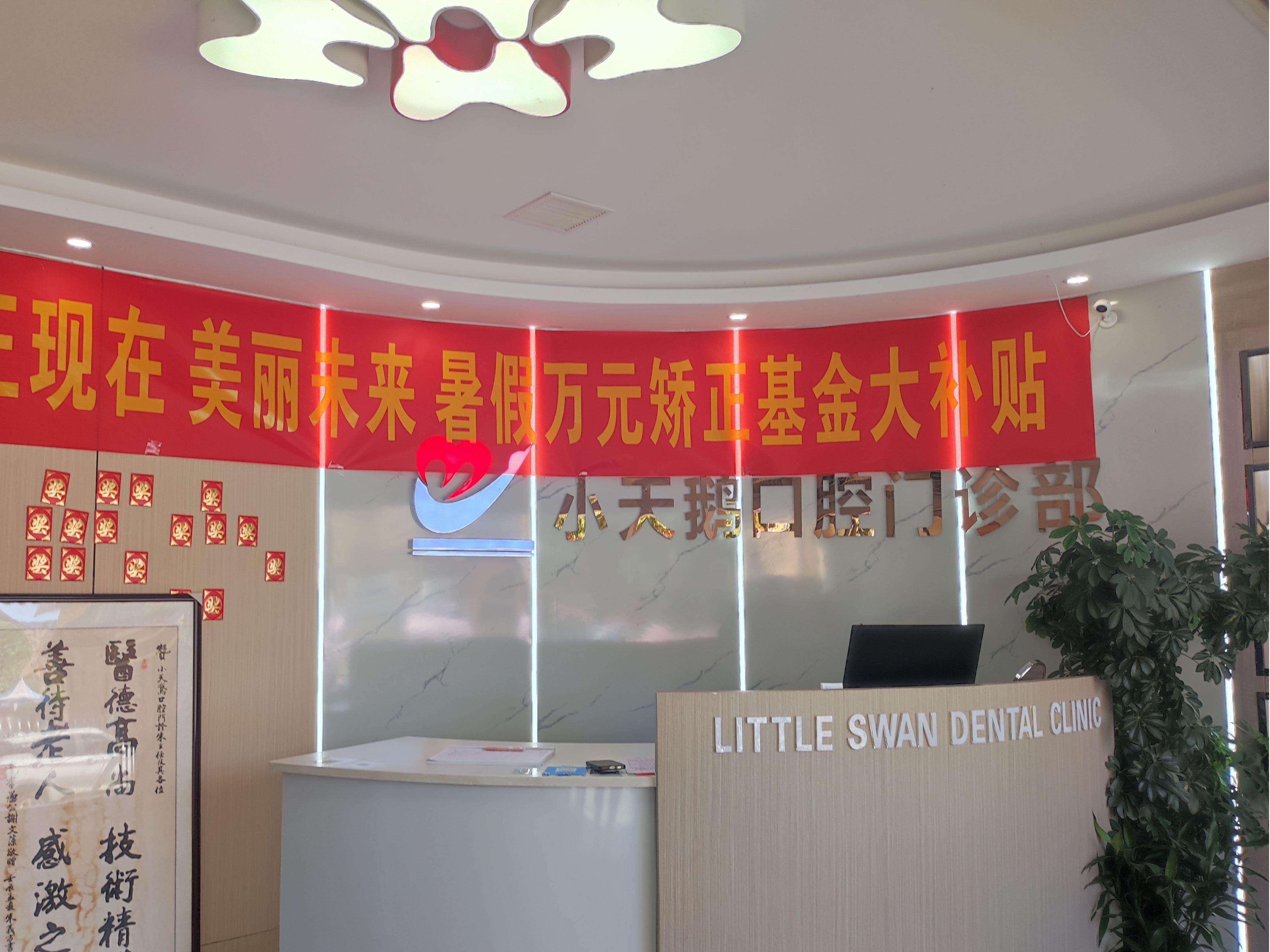 洛阳小天鹅口腔环境图