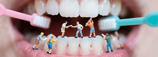 廣州南粵醫藥研究所口腔科：法國安卓健種植體的壽命驚人