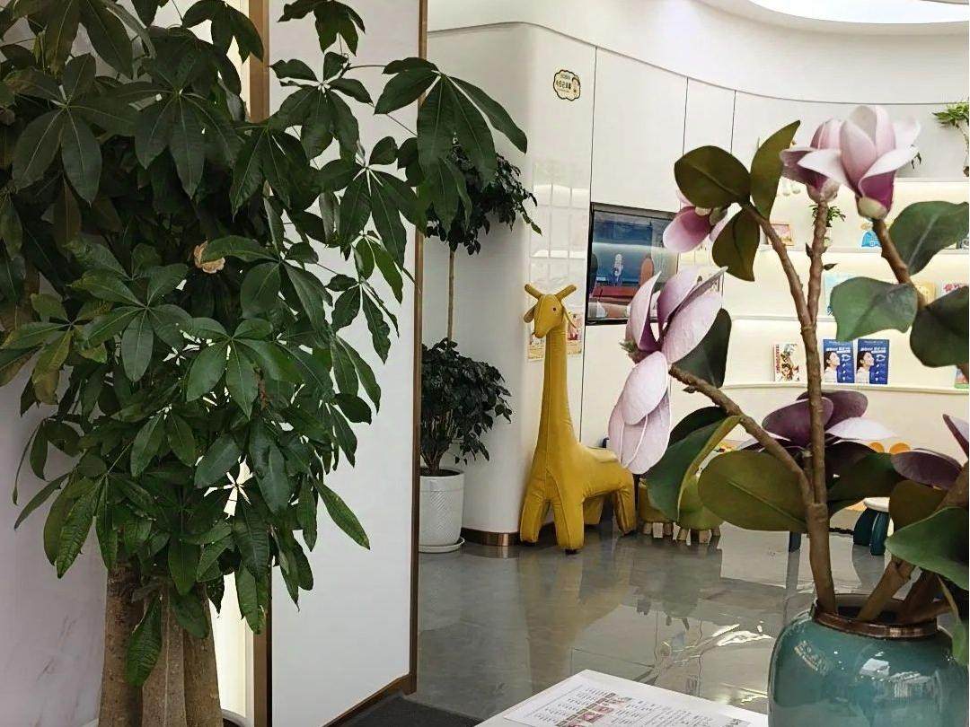 遂宁启辰口腔环境图