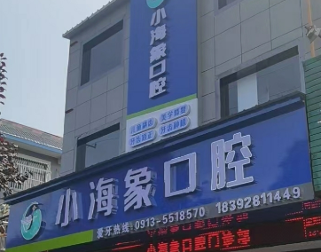 渭南小海象口腔环境图