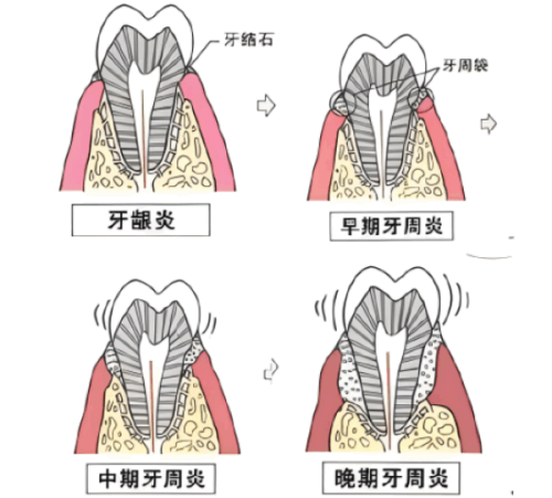 青苗儿童口腔门诊部怎么样？专业医师与温馨环境让孩子安心看牙！