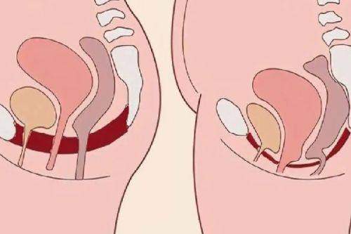 绍兴维美美容医院的顾客口碑见证