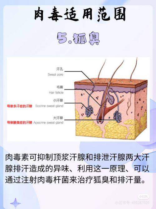 李建钢医生与韩国医美界的关联