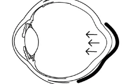 大连爱德丽格医疗美容门诊部：其他特色项目与医生团队
