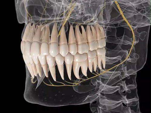 苏州拜博口腔诊所烤瓷牙真实实例