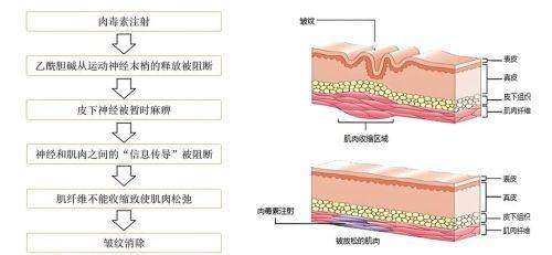 大连爱德丽格医疗美容门诊部宋立男医生:价格参考