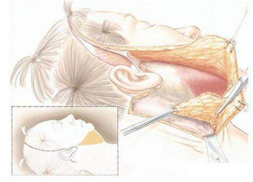 多样变得更美项目,满足不同需求