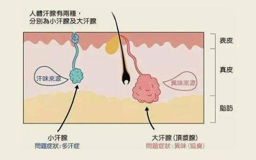 郑州一美丽人医疗美容