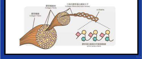 特色科室与项目：满足多元变得更美需求