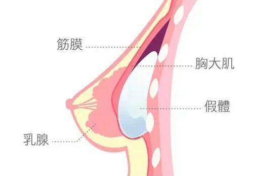 佛山君美整形美容医院:医生团队与用户评价