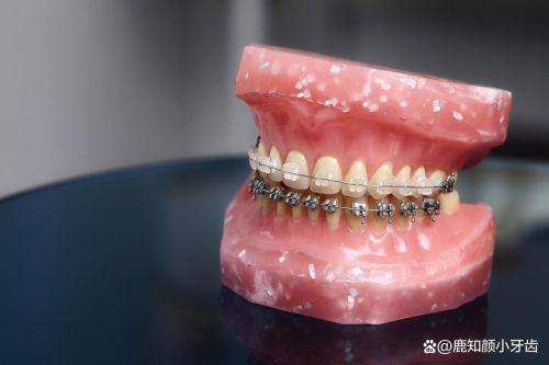 系統化管理模式,保护診療質量