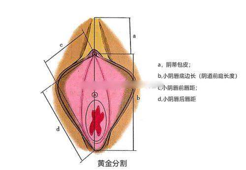 深圳米兰柏羽医疗美容医院是莆田系医院吗？一文给你讲清它的背景和靠谱程度 