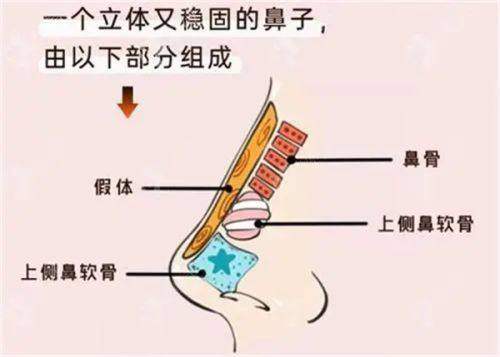 深圳米兰柏羽医疗美容医院的发展理念与合作情况