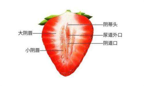 广州缪思医疗美容门诊部是不是正规医院？这就给你揭秘其资质和靠谱程度！ 