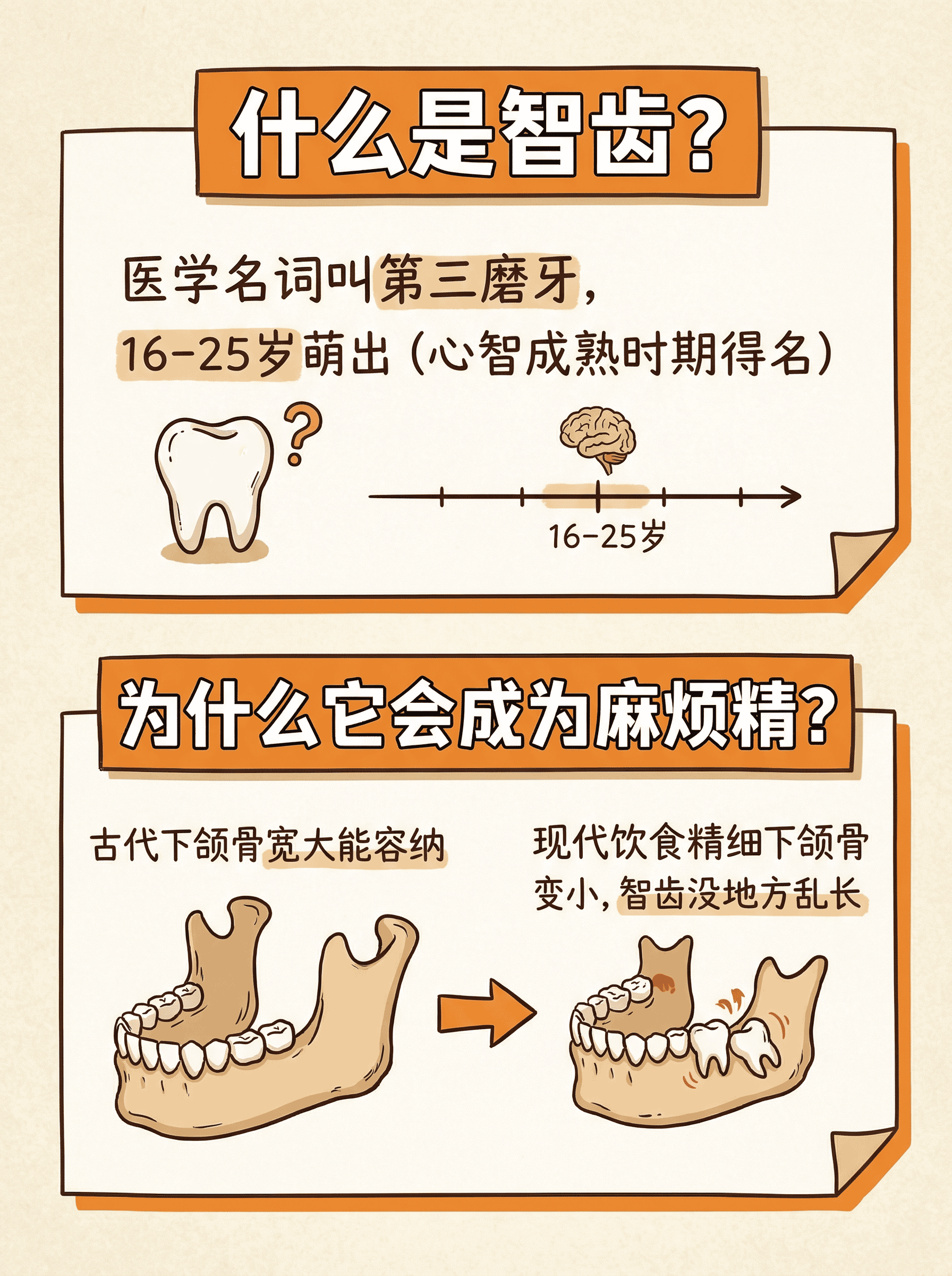 智齿到底拔不拔？一文说清！案例图片 2