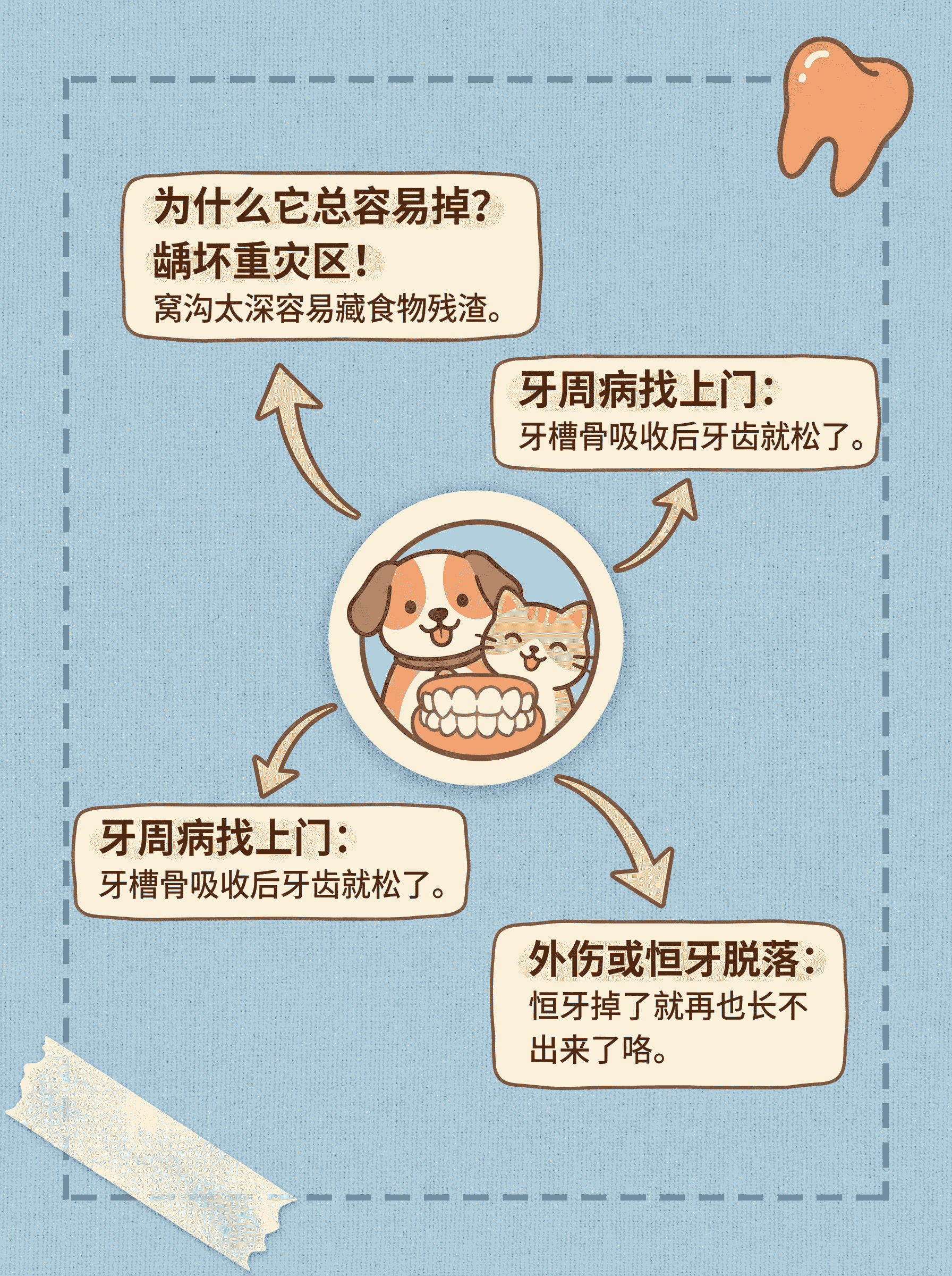 90%人种6号牙？它总掉的真相！案例图片 3