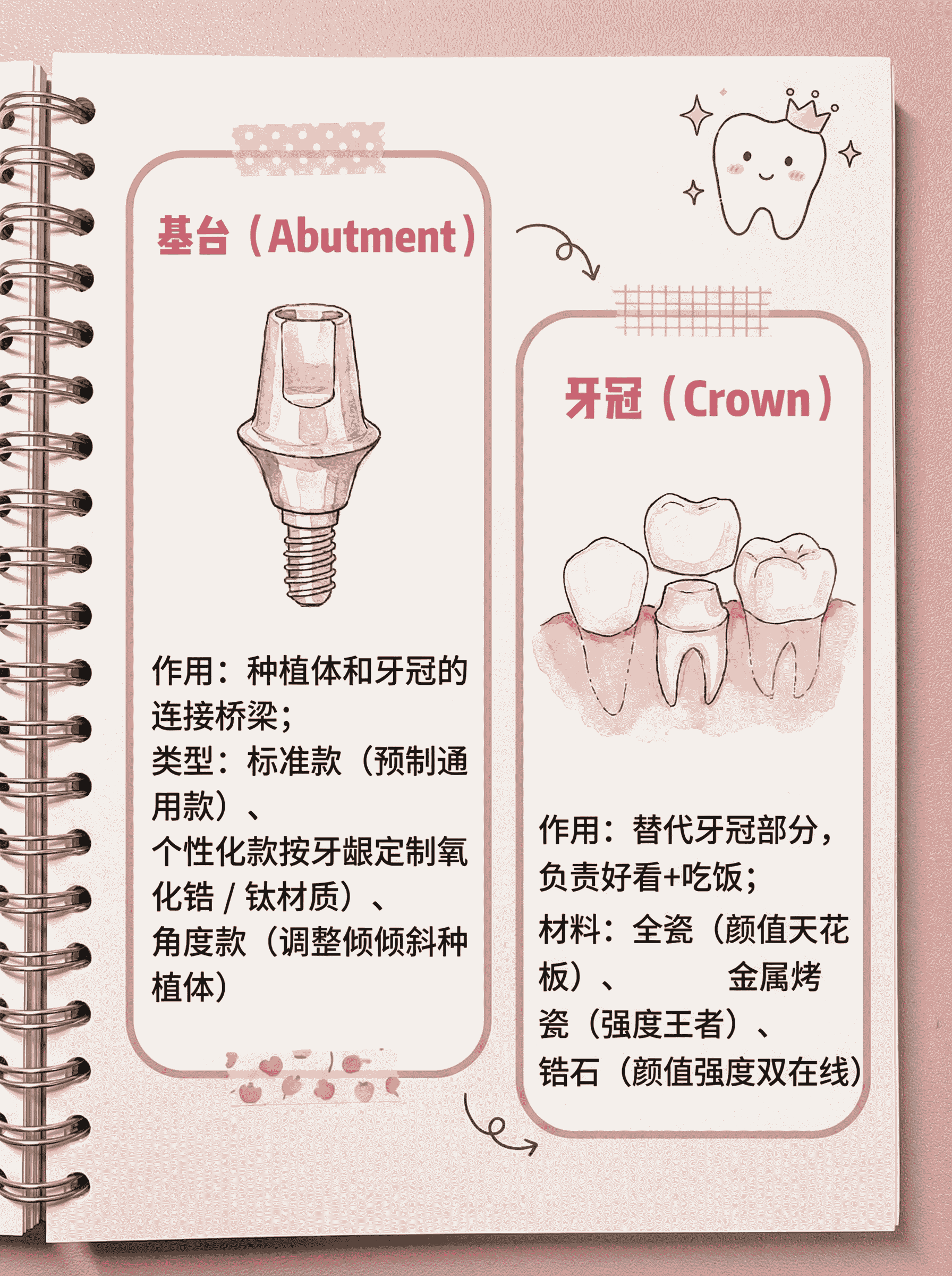 种植牙零件大揭秘｜7大核心部件全解析案例图片 2