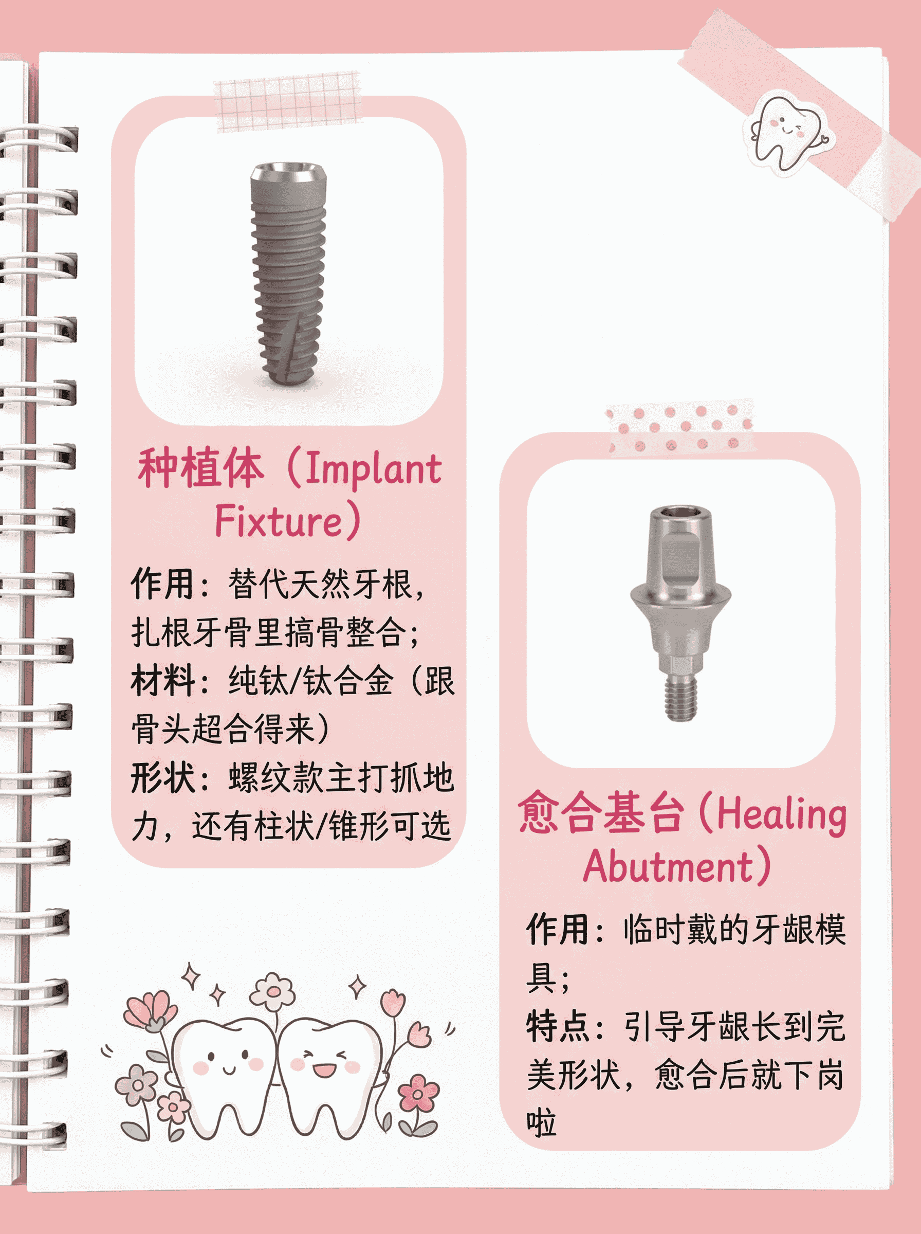 种植牙零件大揭秘｜7大核心部件全解析案例图片 3