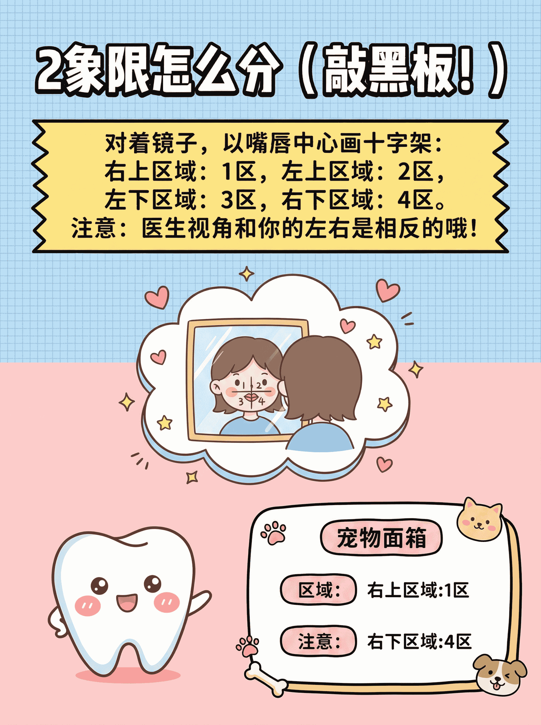 牙齿编号攻略，看牙秒懂暗号案例图片 3