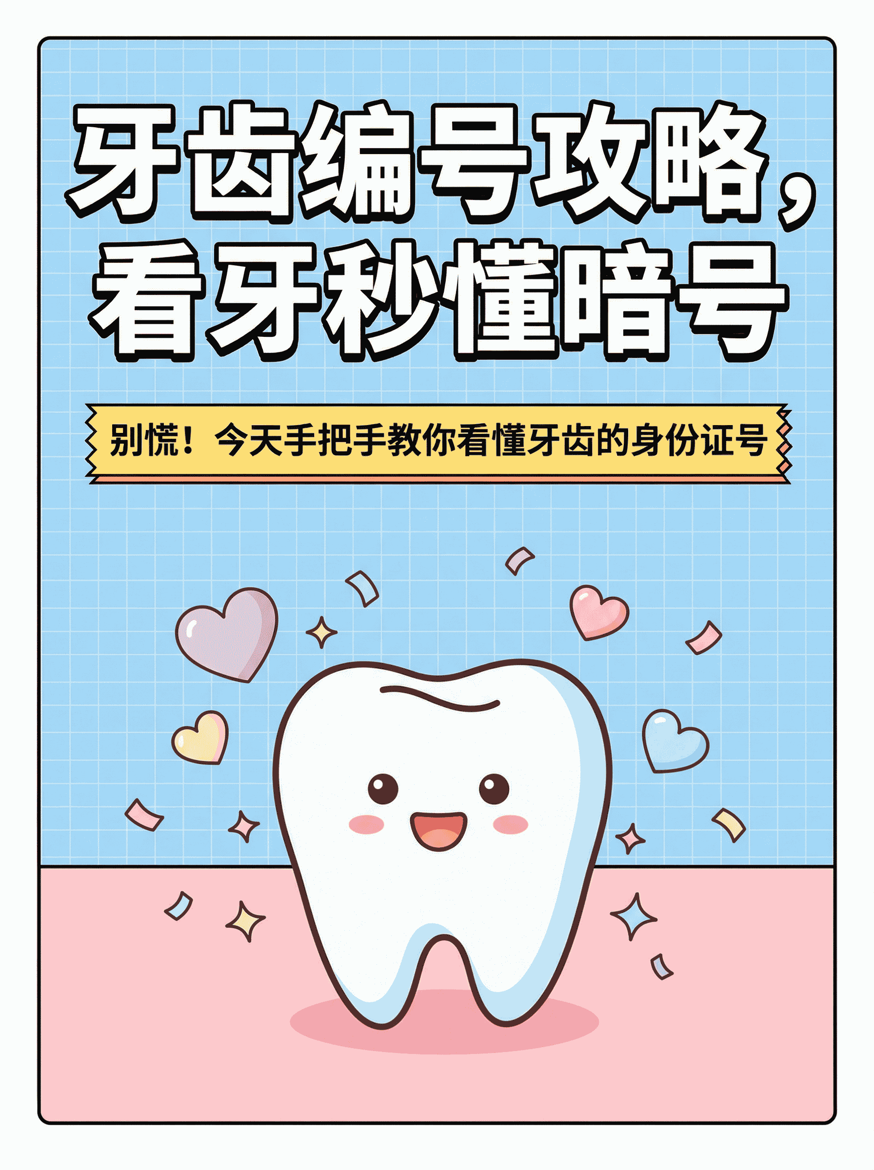 牙齿编号攻略，看牙秒懂暗号