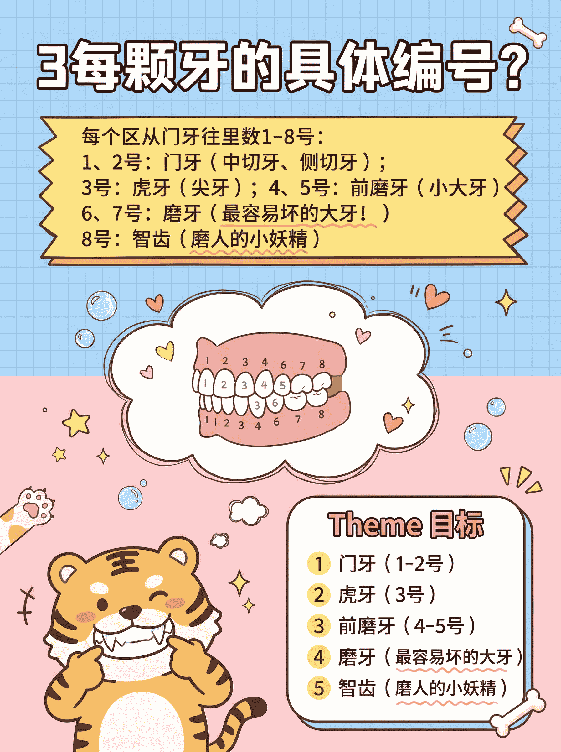 牙齿编号攻略，看牙秒懂暗号案例图片 4