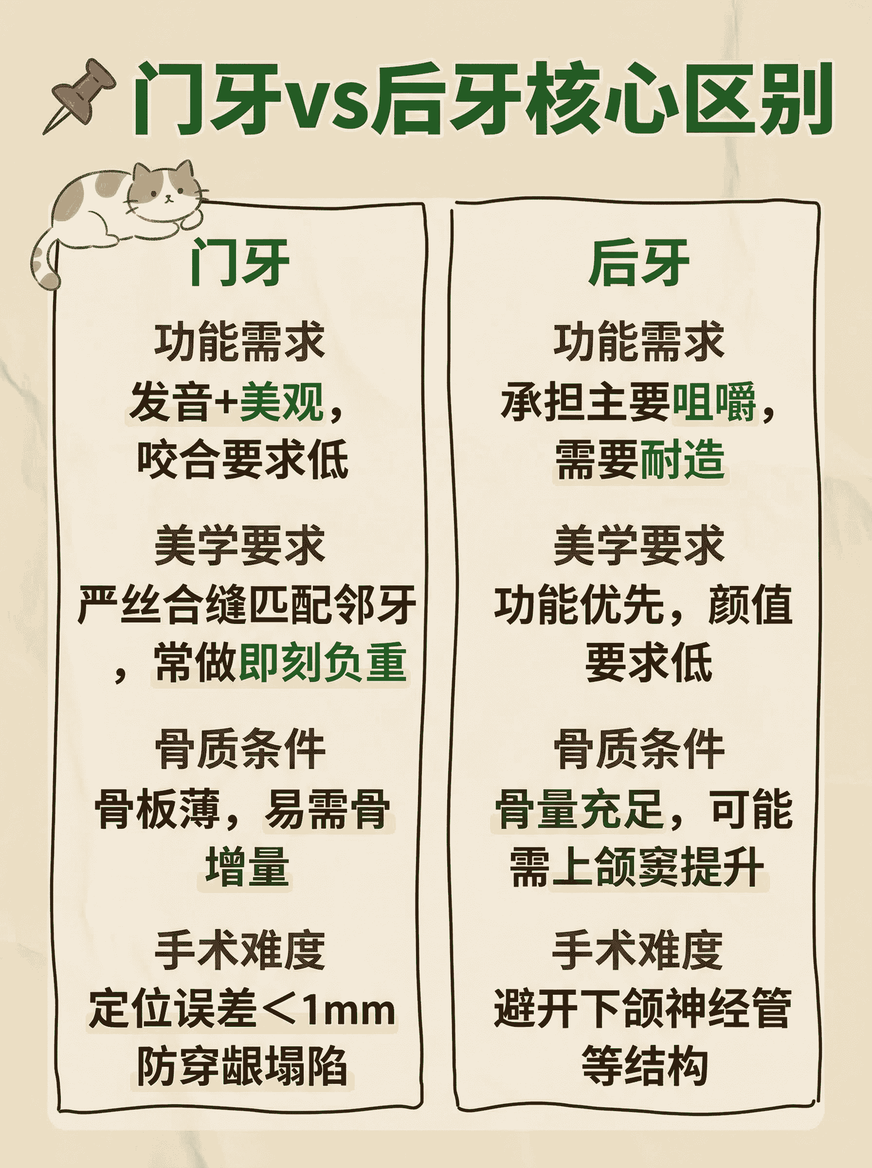 门牙后牙种植体怎么选？案例图片 2