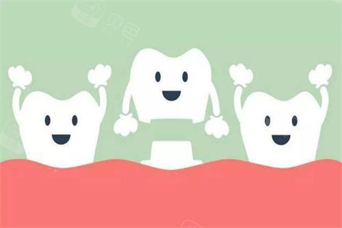 牙齿模型展示图 (124)
