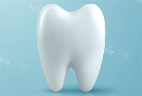 牙齿3D卡通图