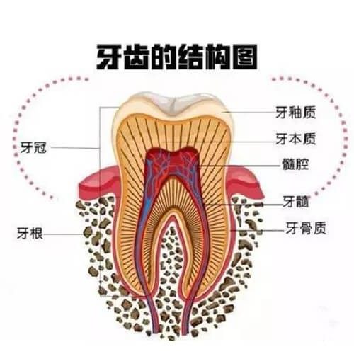 常见且有效治疗牙髓病的方式,它能够从根本上改善牙齿内部炎症及病变