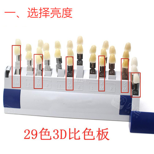 全瓷牙色板图