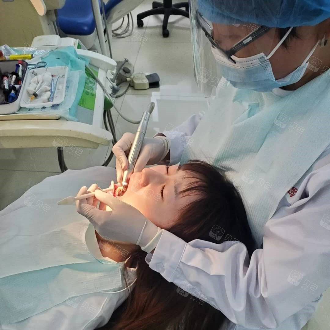 小马过河试试才知道洗牙一点也不疼