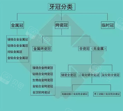 牙冠分类示意图