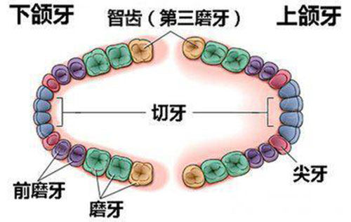 九江拔智齿去哪个医院好?盘点九江正规且拔牙便宜的口腔