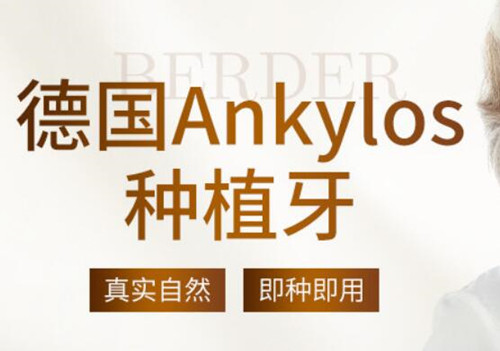 德国ankylos费亚丹种植牙
