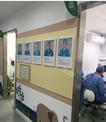 青苗儿童口腔医生团队