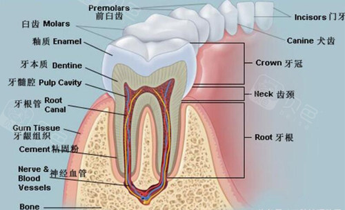 连云港口腔医院看牙费用公布整牙收费明细一览表
