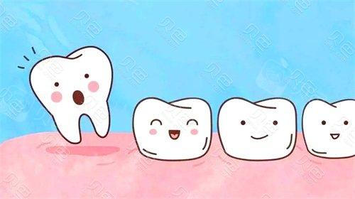 对照整齐的牙齿标准图看看你的牙齿排列是否正常？(图4)