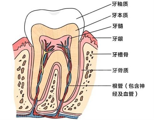 宁夏固原牙科价格表更新,含固原牙齿矫正洗牙拔牙价格明细!