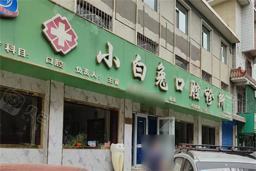 石嘴山小白兔口腔外景图