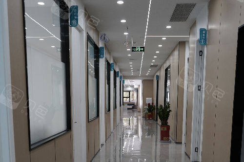 厦门现代口腔走廊图