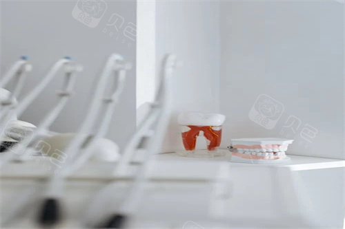 牙齿模型设备展示