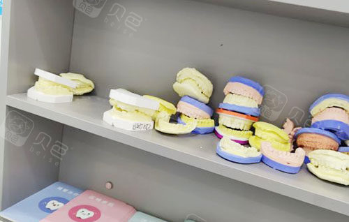 海口牙医森口腔牙齿模型实拍
