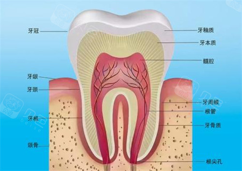 探秘深圳格伦菲尔口腔：实力医生团队 + 优质服务，口腔问题不用愁！
