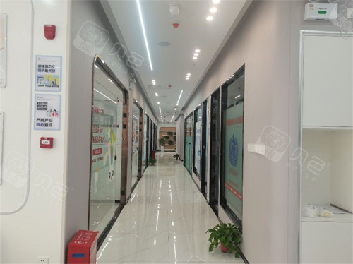 榆林兔博士口腔走廊环境