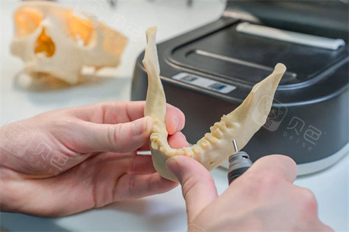 牙齿模型材料示意图