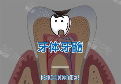 口腔高速手机怎么修社畜看牙记：在德伦口腔看牙，根管治疗全程温柔沟通，我居然舒服到睡着_https://www.jmylbn.com_新闻资讯_第6张