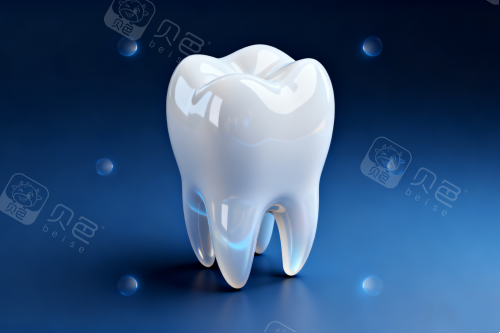 洁白牙齿模型图
