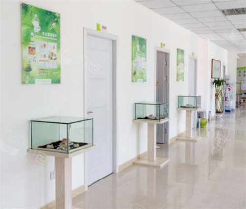 ems洁牙机怎么用小众精品？深圳利尚齿科真实探店体验，优缺点完善分析！_https://www.jmylbn.com_新闻资讯_第6张