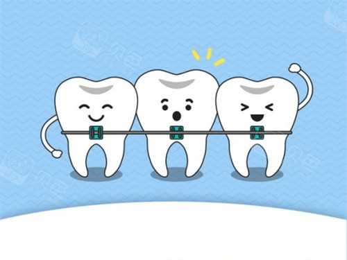 矫正导致牙齿脱落是谣言？科学解读牙槽骨改建的生死线！