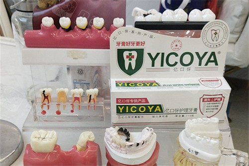 东莞寮步莞口口腔牙齿模型